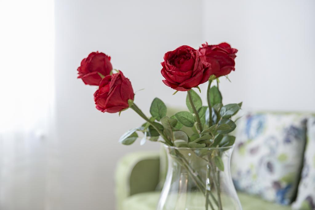 Central Belgrade Apartment 4 Екстериор снимка